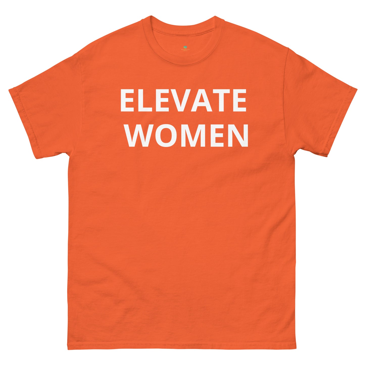 Unisex classic tee