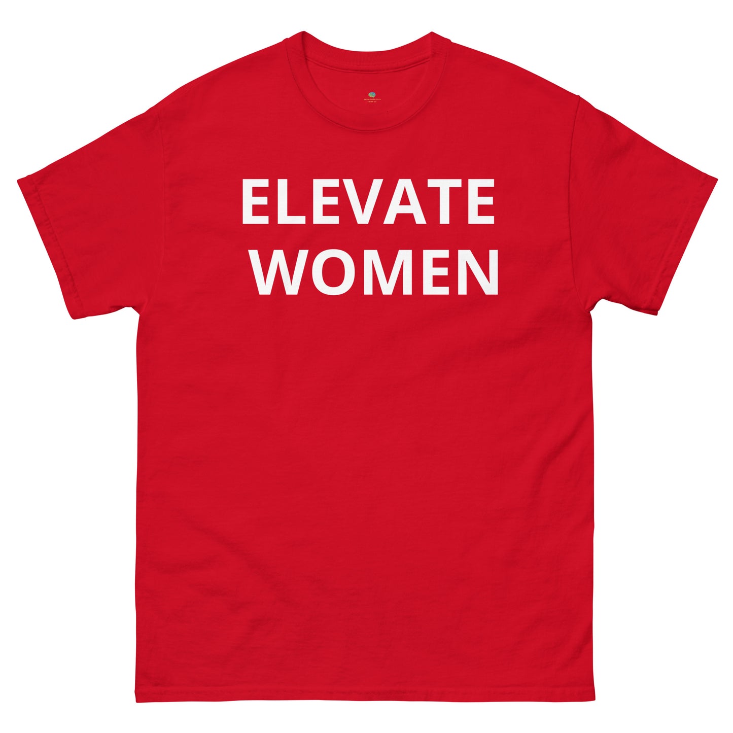 Unisex classic tee